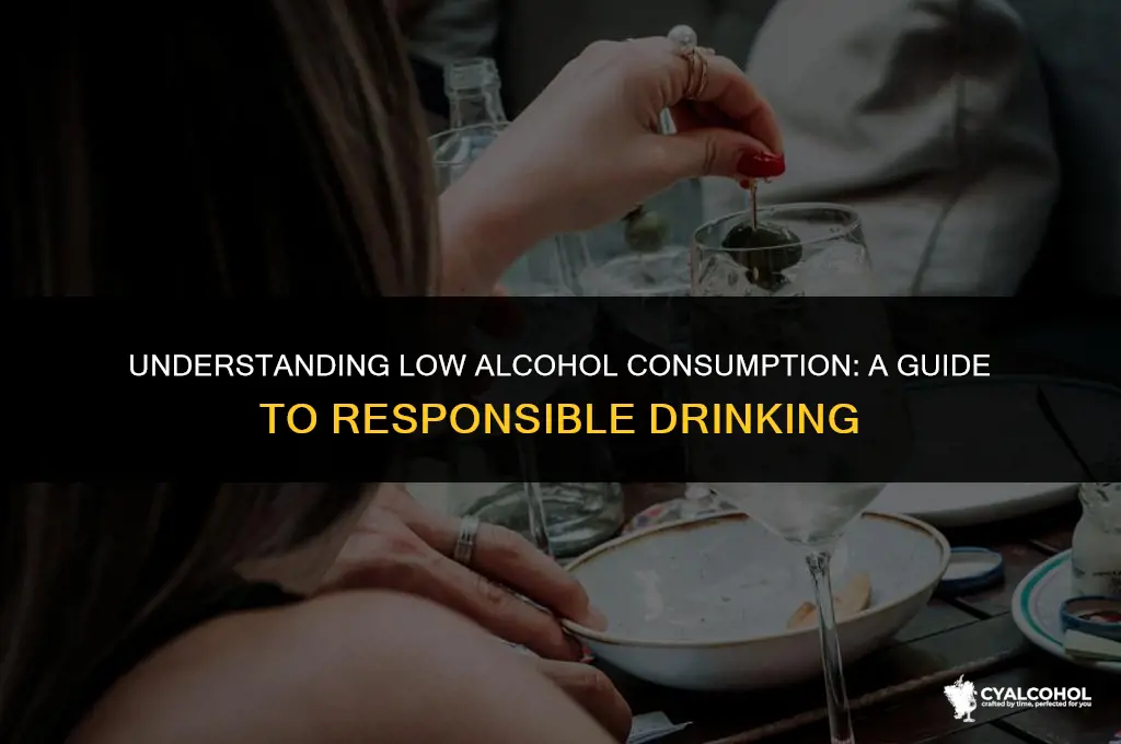 what is considered low alcohol consumption