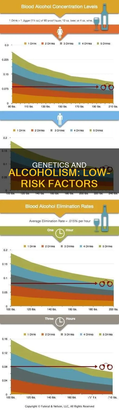 what is considered low risk for developing alcohol disorder