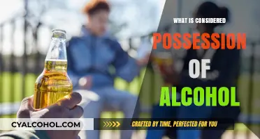 Understanding Possession of Alcohol: Legal Definitions and Implications