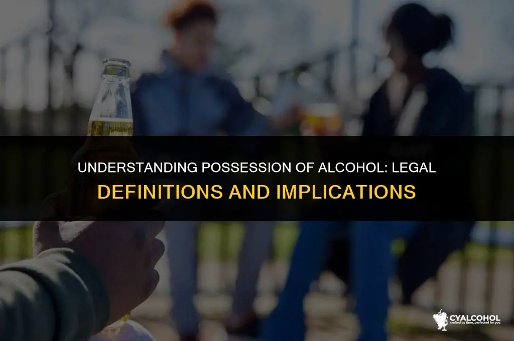 what is considered possession of alcohol