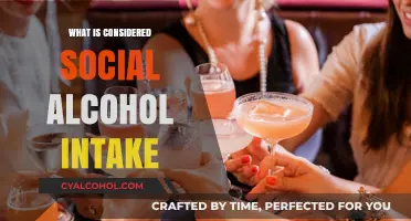 Understanding Social Drinking: What's Considered Acceptable?