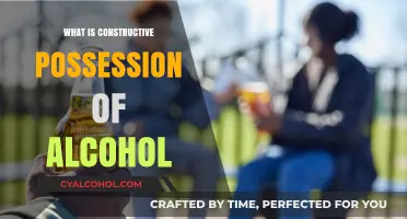Understanding Constructive Possession of Alcohol: A Legal Insight