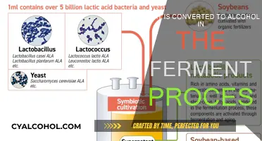 Fermentation: Sugar Converts to Alcohol