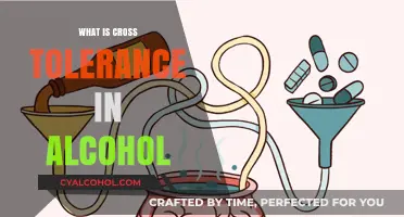 Understanding Cross-Tolerance: How Alcohol Affects Different Substances