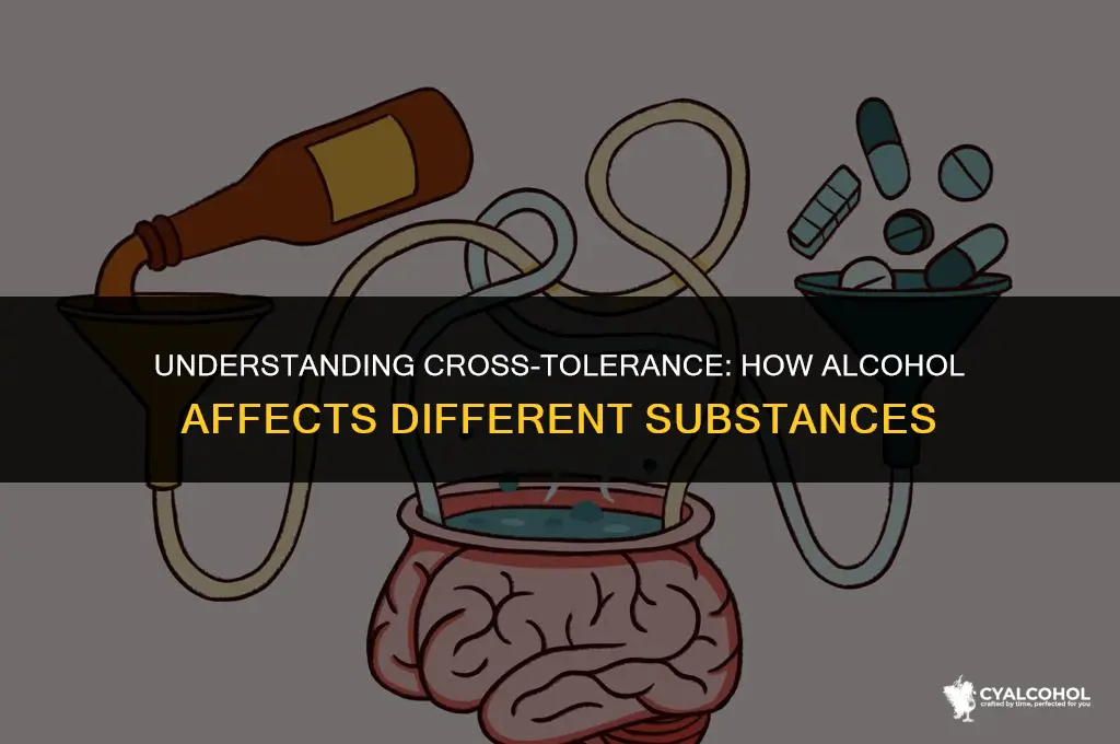 what is cross tolerance in alcohol
