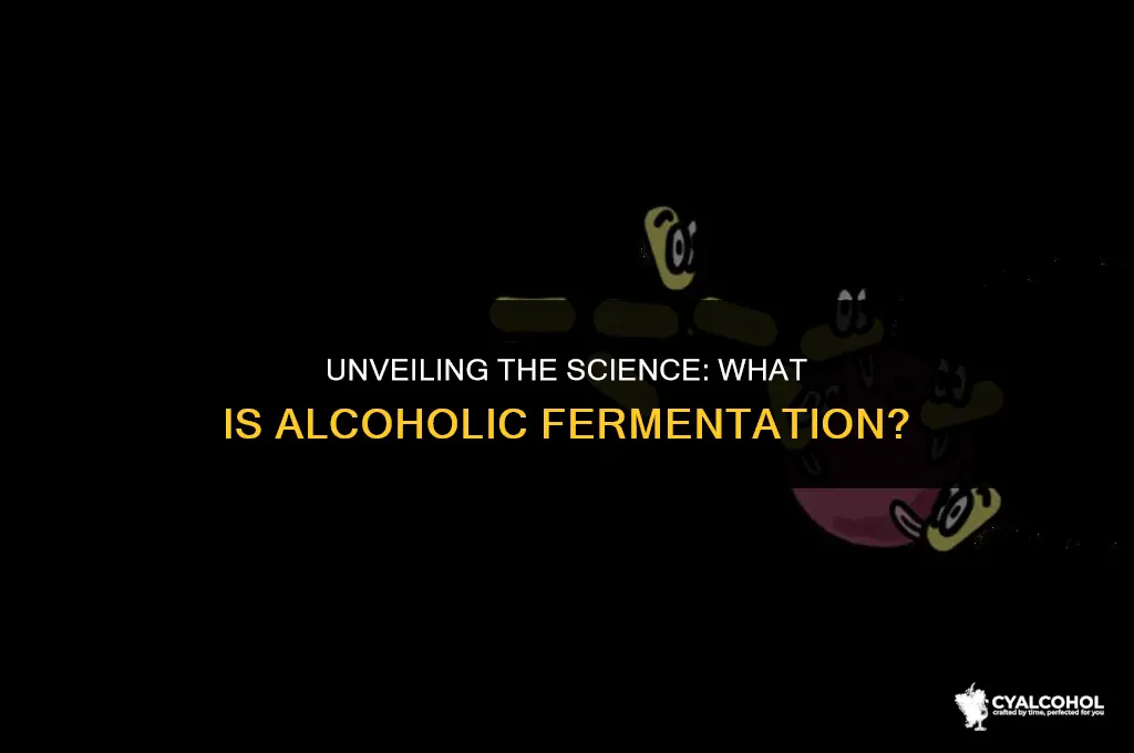 what is definition of alcoholic fermentation