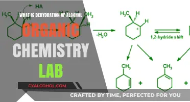 Understanding Alcohol Dehydration in Organic Chemistry Lab Experiments