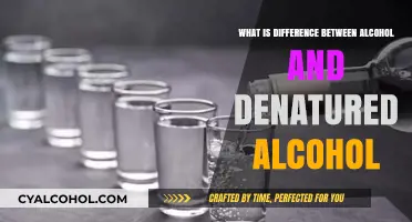 Alcohol vs. Denatured Alcohol: Key Differences Explained Simply
