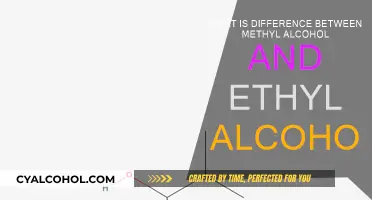 Methyl vs Ethyl Alcohol: What's the Difference?