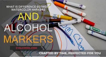 Explore the Art: Watercolor vs Alcohol Markers