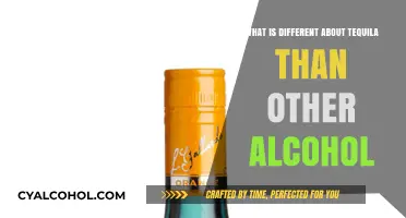 Tequila's Unique Traits: How It Stands Out from Other Alcohols