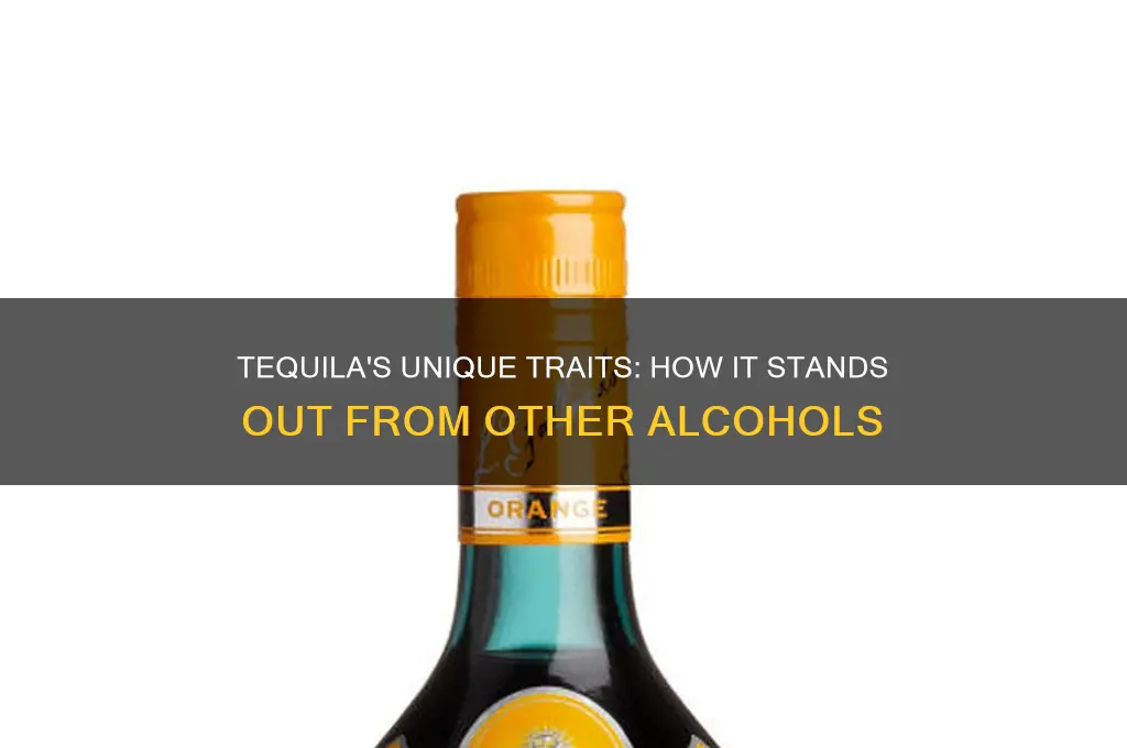 what is different about tequila than other alcohol