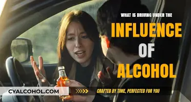 Understanding the Dangers of Driving Under the Influence of Alcohol