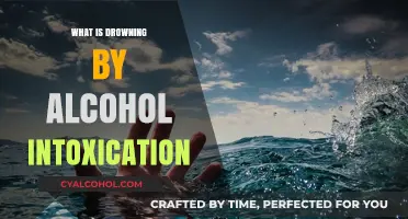 The Silent Epidemic: Understanding Alcohol Intoxication and Its Deadly Consequences