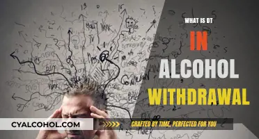 Understanding Delirium Tremens: A Guide to Alcohol Withdrawal Symptoms