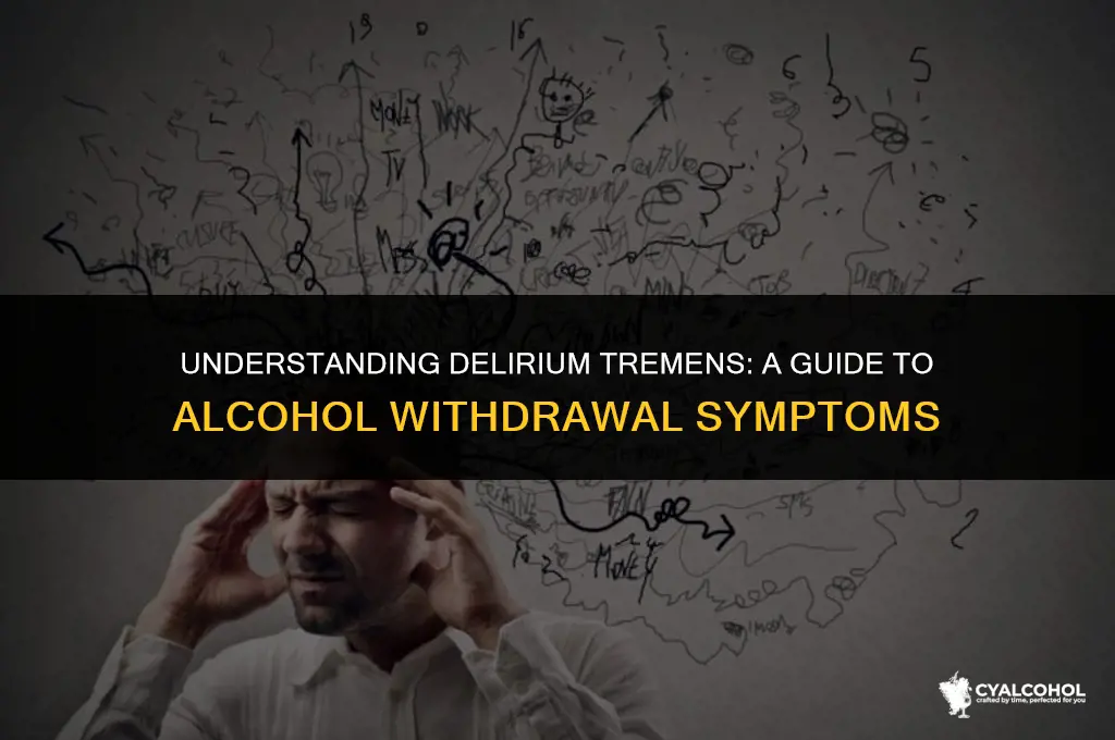 what is dt in alcohol withdrawal
