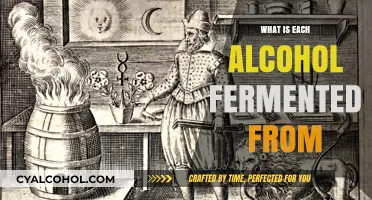 Exploring the Fermentation Origins of Various Alcohols