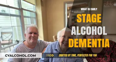 Understanding Early-Stage Alcohol Dementia: Signs, Symptoms, and Support