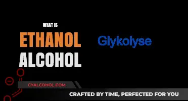 Understanding Ethanol Alcohol: Uses, Production, and Impact Explained