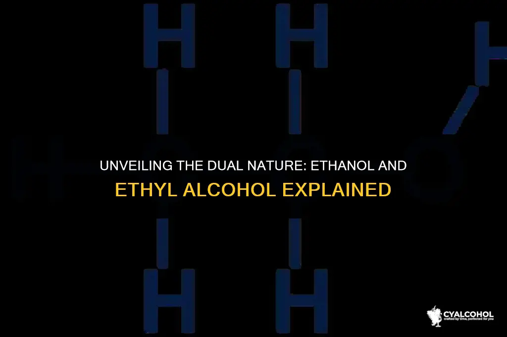 what is ethanol and ethyl alcohol