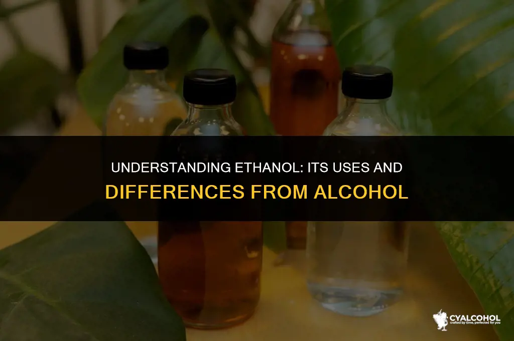 what is ethanol compared to alcohol