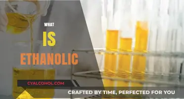 Understanding Ethanolic Extracts: Benefits, Uses, and How They Work