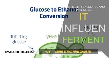 Ethyl Alcohol's Role in Fermentation Explained
