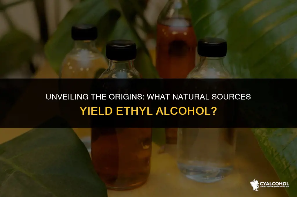 what is ethyl alcohol derived from