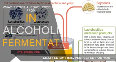 Fermentation's Ethyl Alcohol Origins Explained