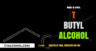 Exploring Ethyl tert-Butyl Alcohol: Properties and Uses