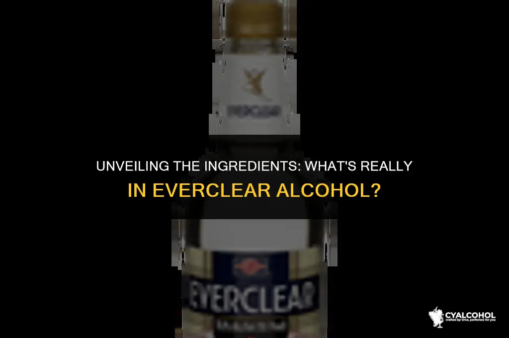 what is everclear alcohol made from