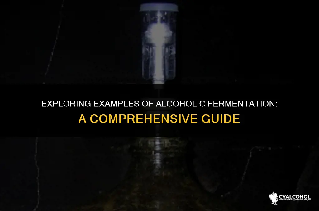 what is examples of alcoholic fermentation