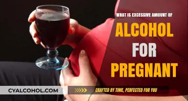 Pregnancy and Alcohol: Understanding the Risks of Excessive Consumption