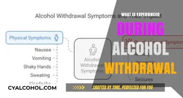 Navigating the Challenges: A Guide to Alcohol Withdrawal Symptoms