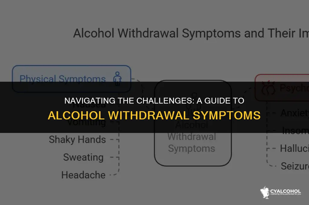 what is experienced during alcohol withdrawal