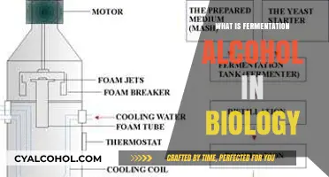 Unveiling the Biological Process of Fermentation Alcohol