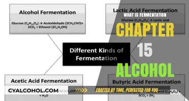 Exploring Fermentation: The Journey from Grains to Glass