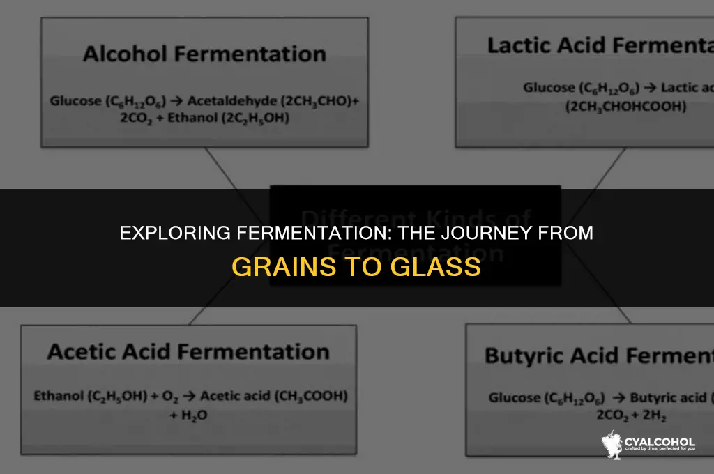 what is fermentation chapter 15 alcohol