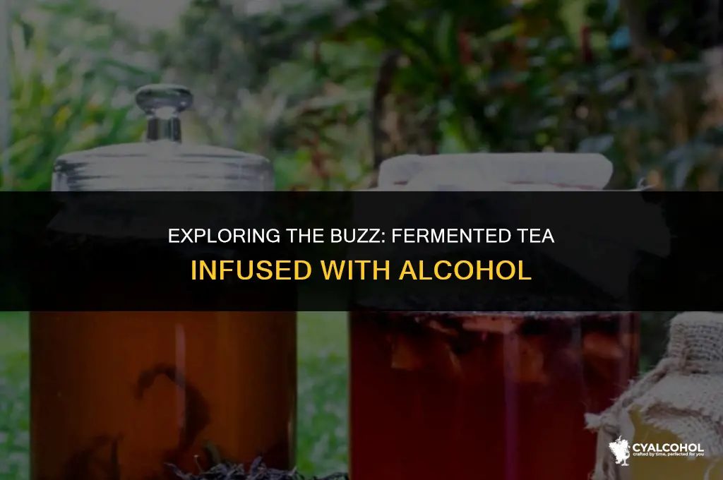 what is fermented tea with alcohol