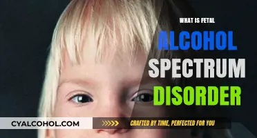 Understanding Fetal Alcohol Spectrum Disorder: Causes, Symptoms, and Prevention