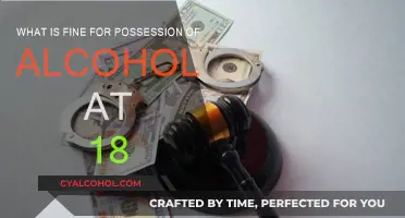 Alcohol Possession Laws: Underage Drinking Consequences