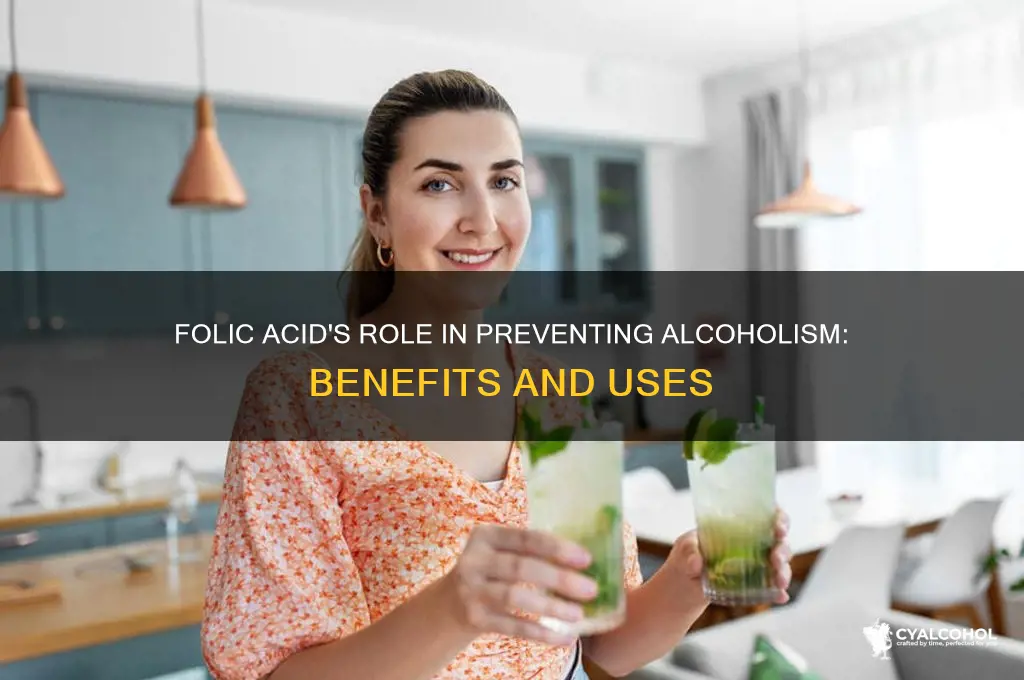 what is folic acid for to prevent alcoholism