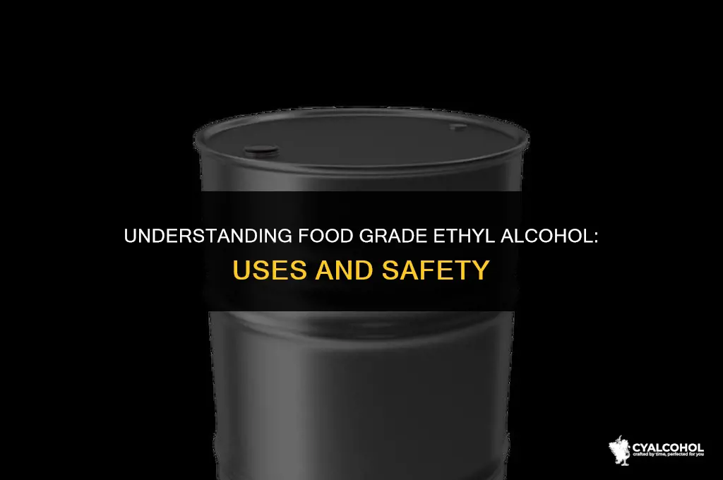 what is food grade ethyl alcohol