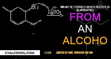 How Alcohols Transform Without Water