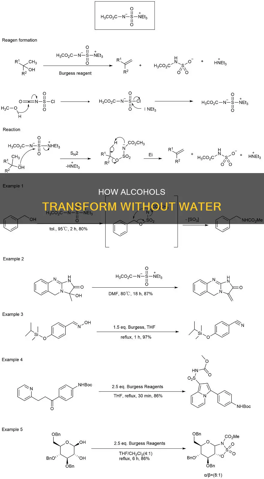 what is formed when water is eliminated from an alcohol