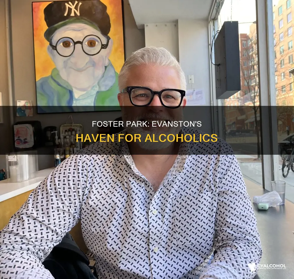 what is foster park topic for alcoholics in evanston