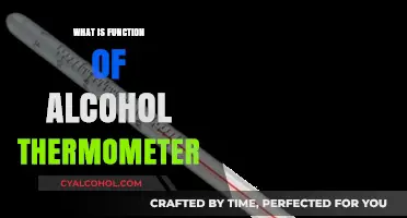 Exploring the Uses and Functionality of Alcohol Thermometers