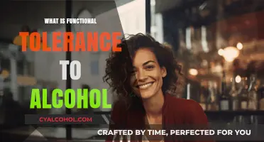 Understanding Functional Tolerance to Alcohol: A Comprehensive Guide