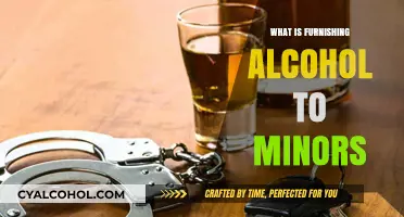 Understanding the Legal Ramifications of Furnishing Alcohol to Minors