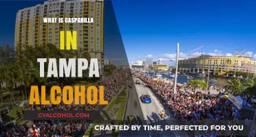 Exploring Gasparilla: Tampa's Legendary Pirate Festival and Its Spirited Side